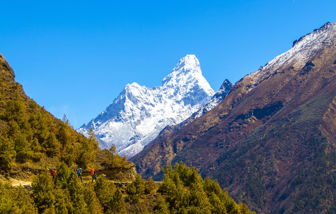 National Park in Nepal and Entrance fee to Visit