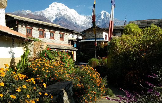 Easy Trek in Nepal
