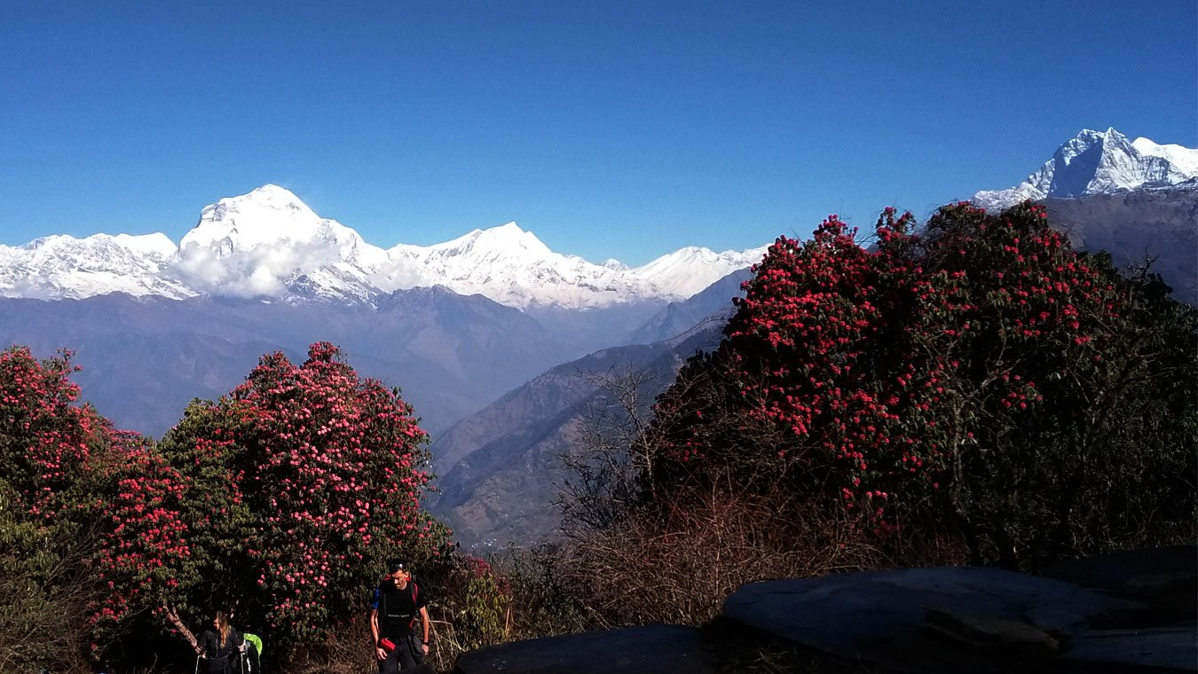 Nepal Trek and Bhutan Cultural Tour
